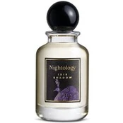 Nightology - Iris Shadow Parfumuotas vanduo 100 ml unisex