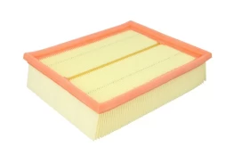 Oro filtras FILTRON AP153 kaina