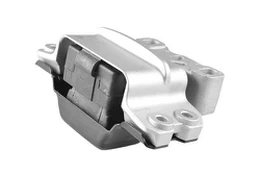 Variklio montavimas TEDGUM TED97449