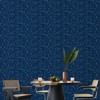 Artgeist Tapetas - Cosmic Inspirations - Pattern with Stars and Constellations on a Dark Background.