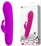 Vibratorius PRETTY LOVE FLIRTATION VIBRATOR WITH RABBIT CAESAR kaina
