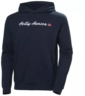 Helly Hansen Core Graphic Sweat Hoodie M 53924 596