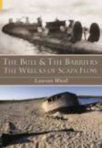 Bull and the Barriers