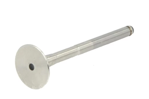 FRECCIA 4942/BM Exhaust valve