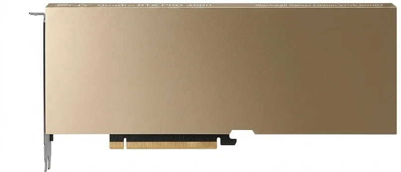 Vaizdo plokštė PNY NVIDIA RTX PRO 4500 Blackwell Server Edition - Passive PCIe 32GB