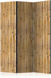 Artgeist Pertvara - Amazonian Wall [Room Dividers] kaina