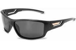 Akiniai nuo saulės vyrams PolarZone S31 kaina