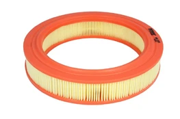 Oro filtras FILTRON AR239 kaina