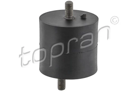 Variklio montavimas TOPRAN 500 166