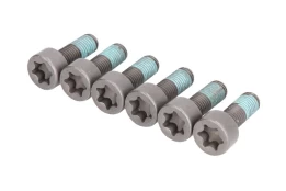 LUK 411 0260 10 Flywheel bolt set kaina