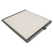 Salono filtras BLUE PRINT ADG02505 kaina