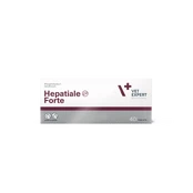 Vetexpert HEPATIALE FORTE 300mg, 40 tab. kaina