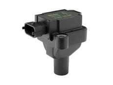 Ritė, uždegimas BorgWarner (BERU) ZS030