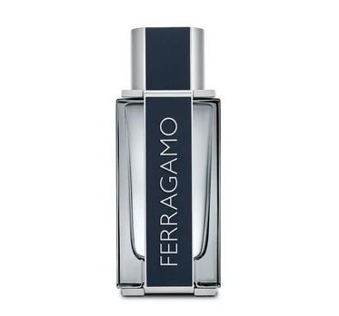 Tualetinis vanduo FERRAGAMO MEN EDT vyrams, 50 ml