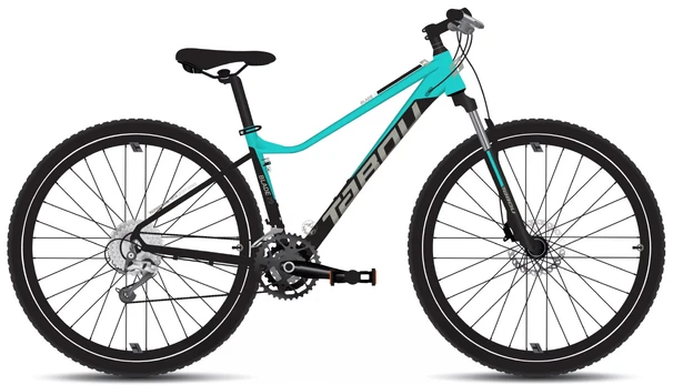 Dviratis Tabou Blade 29 4 W black-mint-L