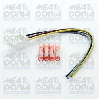 Diržas, kombinuotas galinis žibintas MEATDORIA 25172
