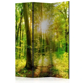 Artgeist Pertvara - Forest Rays [Room Dividers]