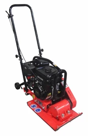 Tankinimo mašina 5,5 AG - Briggs and Stratton kaina