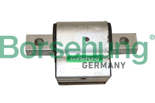 Variklio montavimas Borsehung B19077