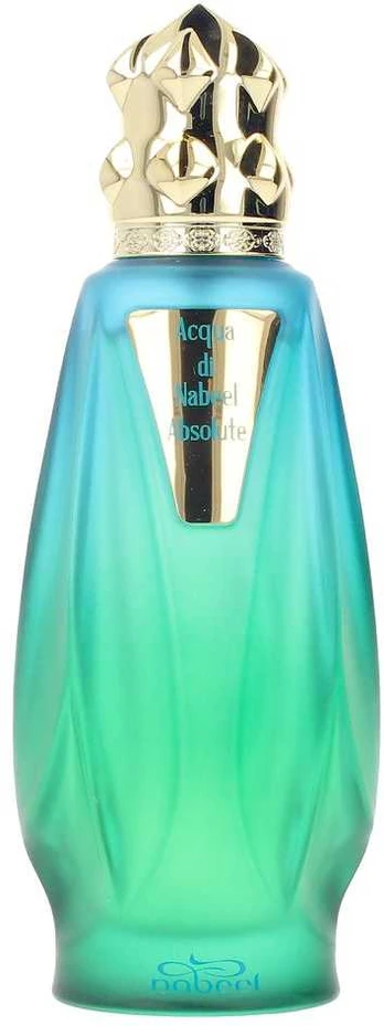 ACQUA DI NABEEL ABSOLUTE EDP vapo 100 ml