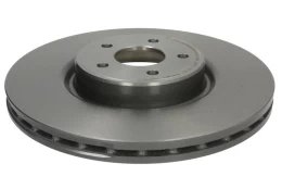 BREMBO 09.9586.21 Brake Disc kaina