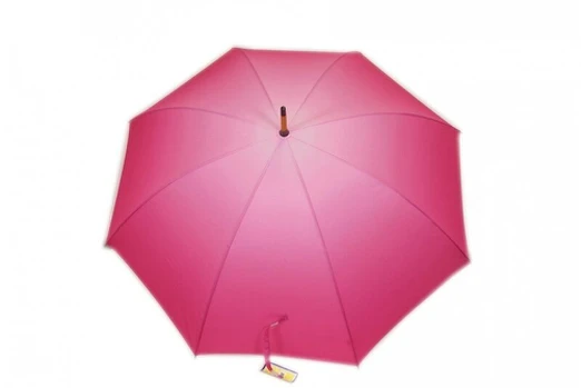 Skėtis moterims ALMAX L1012, violetinis