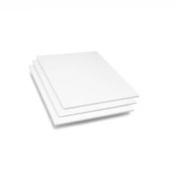 Kartonas TP BOARD 300gsm  (72x102cm)