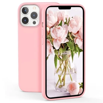 iPhone 13 Pro Max dėklas