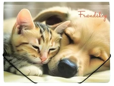 Aplankas su guma A4 FRIENDSHIP kaina
