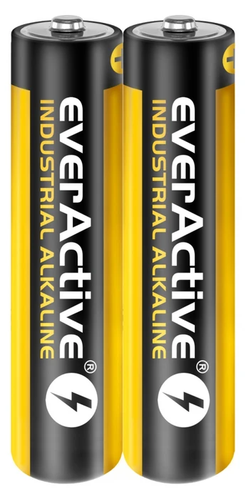 AAA baterijos EverActive Industrial Alkaline LR03 1vnt.