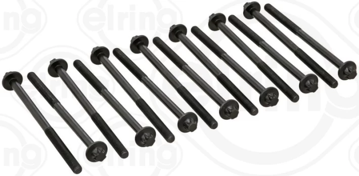 ELRING EL233380 Cylinder head bolt set
