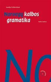 KNYGA Norvegų kalbos gramatika kaina