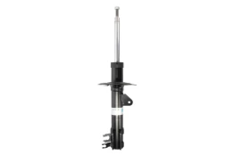 BILSTEIN 22-196965 Shock absorber kaina