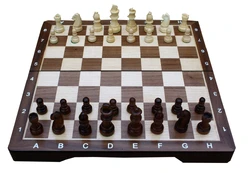 Šachmatai Enigma Medium Chess Set TWE197911, EN kaina