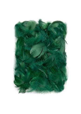Plunksnos 5-12cm 10g, t.žalios