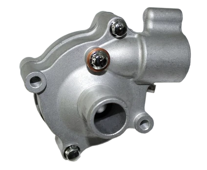 060C-081000 WATER PUMP SUB ASSY