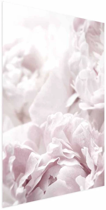 Artgeist Plakatas - Fluffy Peonies