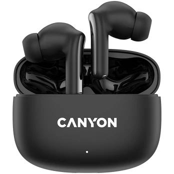 Ausinės Canyon OnGo 9