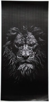 Lipdukas ant Automobilio Statramsčio Lion ( B-Pillar Sticker )