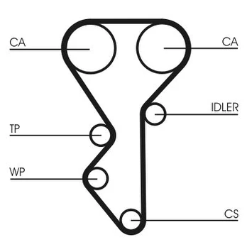CONTI CT 955 Timing belt