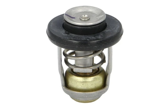 Termostatas 8M0139434