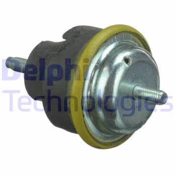 Variklio montavimas DELPHI TEM112