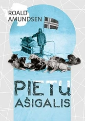 Pietų ašigalis