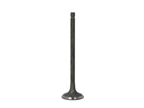 FRECCIA 6604/RNT Exhaust valve