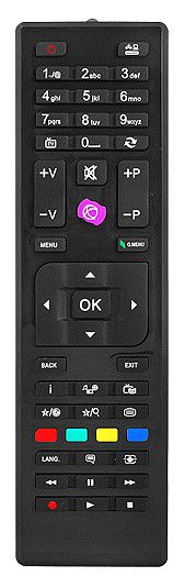 DV pultas VESTEL RC4870 kaina