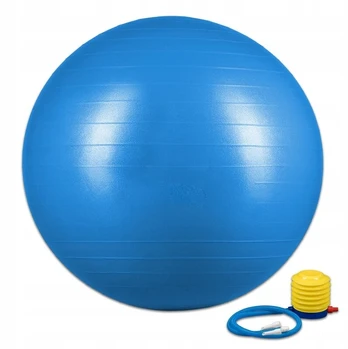 Gimnastikos kamuolys 75cm su pompa, mėlynas