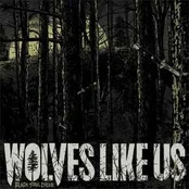 CD Wolves Like Us - Black Soul Choir