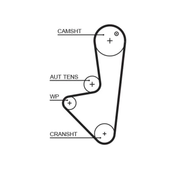GATES GAT5575XS Timing belt