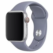 Apyrankė Devia Deluxe 44mm Apple Watch pilka kaina
