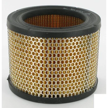 Oro filtras